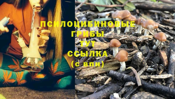 a pvp Верхний Тагил