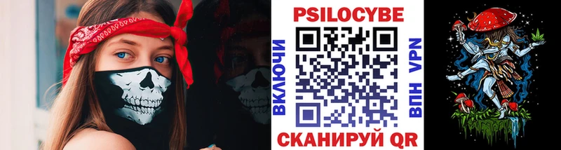 наркотики Волосово нарко площадка формула Псилоцибиновые грибы мицелий